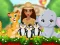 Spēle Moana Cute Zoo online