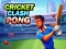 Spēle Cricket Clash Pong online