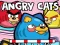 Spēle Angry Cats online