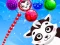 Spēle Raccoon Rescue online