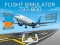 Spēle Flight Simulator 737-800 online