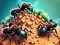 Spēle Ant Colony online