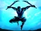 Spēle Shadow Ninja Revenge online