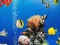 Spēle Sea Underwater Difference online
