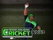 Spēle Cricket Fielder Challenge online