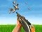 Spēle Bird Hunting online