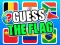 Spēle Guess The Flags online