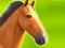 Spēle Horse Run 3D online
