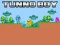 Spēle Tunno Boy online