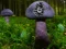 Spēle Mushroom Forest Adventure online