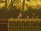 Spēle The Lost Forest online