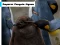 Spēle Emperor Penguin Jigsaw online