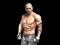 Spēle Fight Arena Online online