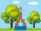 Spēle Box Challenge online