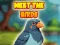 Spēle Meet The Birds online