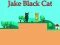 Spēle Jake Black Cat online