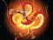 Spēle Chinese Dragons Coloring online