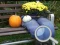 Spēle Autumn Garden Find 100 butterflies online