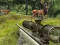 Spēle Stag Hunt online