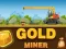 Spēle Amazing Gold Miner online