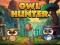 Spēle Owl Hunter online