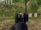 Spēle Army Shooter online