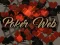 Spēle Poker Web online