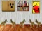 Spēle Dog Room Escape online