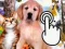 Spēle Pets Clicker online