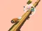 Spēle Spiral Rush online