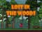 Spēle Lost in the Woods online