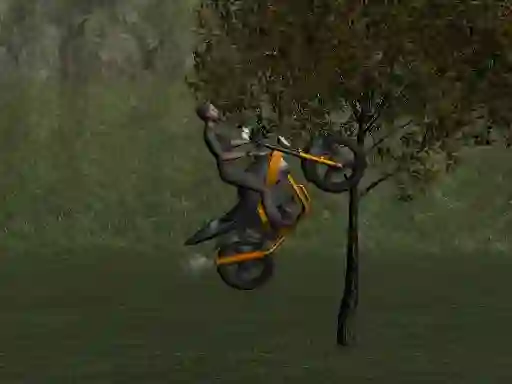 Spēle Mountain Bike Rider online
