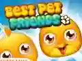 Spēle Best Pet Friends online