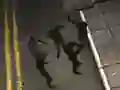 Spēle Zombie Reborn online