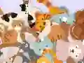 Spēle Find The Kitty online