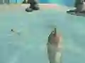 Spēle Shark Simulator Beach Killer online