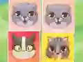 Spēle Kitten Match online