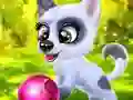 Spēle Happy Dog online