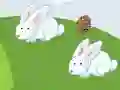 Spēle Crazy Eggs online