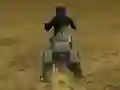 Spēle Real Moto Stunts Challenge online