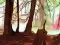 Spēle Hidden Stars online
