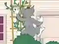 Spēle Tom und Jerry: Wasserbomben Wahnsinn online