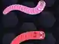 Spēle Angry Worms online