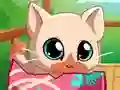Spēle My Pocket Pets Kitty Cat online