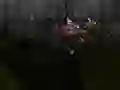 Spēle Zombie Survival online