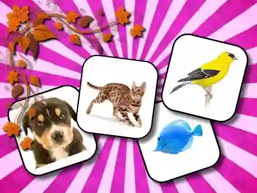 Spēle Animals Memory online