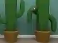 Spēle Cactus Cube online