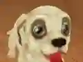 Spēle Pet Run Adventure online