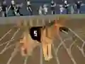Spēle Crazy Dog Racing Fever online
