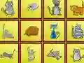 Spēle Cats Findiff online
